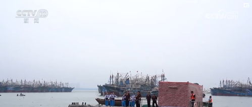 周邊產品與出境游雙輪驅動，端午經濟呈現多元新態勢